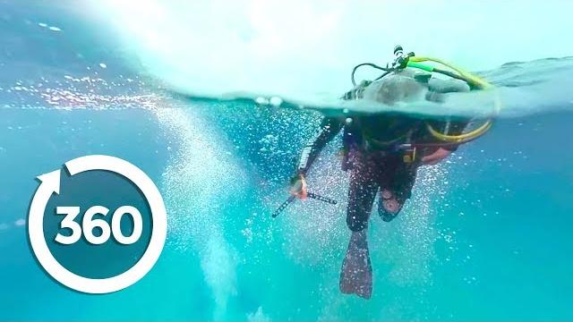 MythBusters: Shark Shipwreck (360 Video) MythBusters: Shark Shipwreck (360 Video)