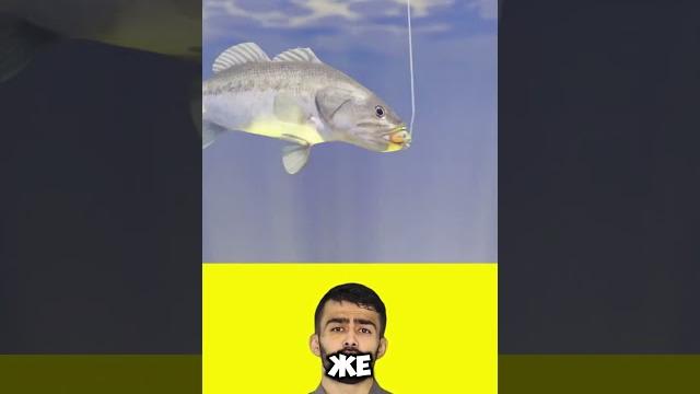 У меня ТОП видео. Подписывайся. Станешь умнее У меня ТОП видео. Подписывайся. Станешь умнее