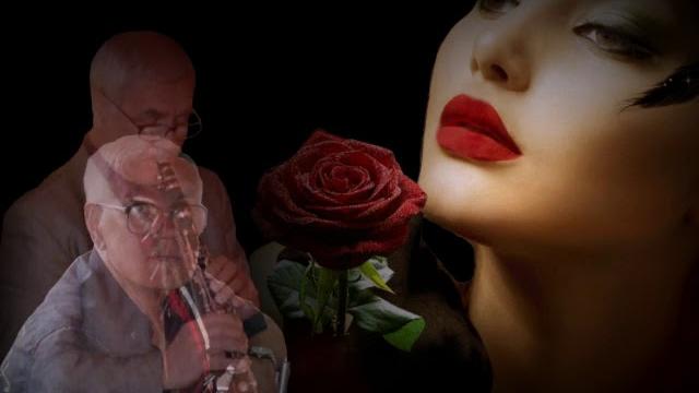 Скажи,зачем и почему Скажи,зачем и почему