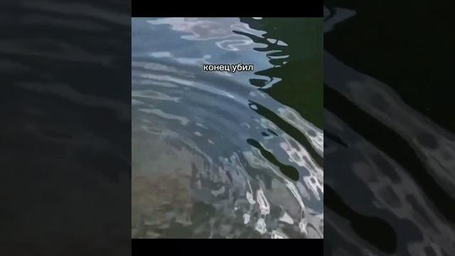Просто комментарии | 255 | #смешное_видео #смешноевидео #ржака #юмор #смех #смешноевидио Просто комментарии | 255 | #смешное_видео #смешноевидео #ржака #юмор #смех #смешноевидио