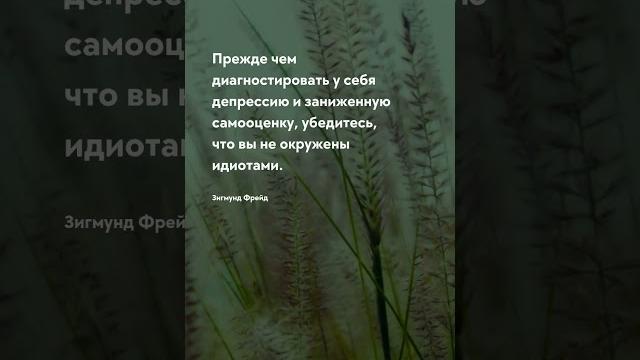 Прежде чем Жизненные цитаты #цитаты #цитата #прожизнь #мудрость #жизнь #тост #цитатадня #цитати#мозг Прежде чем Жизненные цитаты #цитаты #цитата #прожизнь #мудрость #жизнь #тост #цитатадня #цитати#мозг
