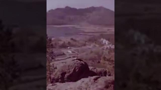Гостеприимная земля и красочная природа Казахстана, 1981 г. #shorts #природа #казахстан #визит Гостеприимная земля и красочная природа Казахстана, 1981 г. #shorts #природа #казахстан #визит
