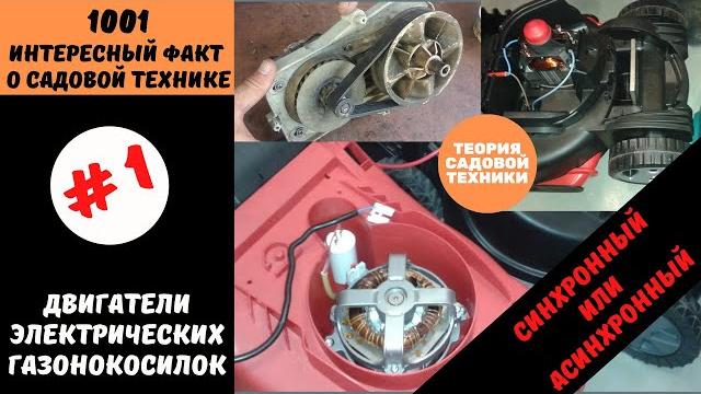 Двигатели электрических газонокосилок. Асинхронный или синхронный? Какой лучше и почему. Двигатели электрических газонокосилок. Асинхронный или синхронный? Какой лучше и почему.