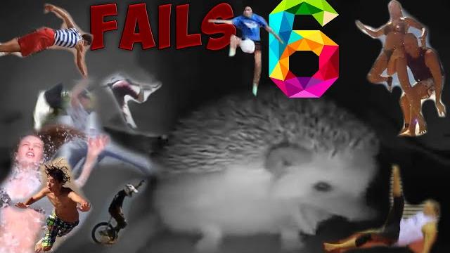 hedgehog sneezed everyone started to fall - new part hedgehog sneezed everyone started to fall - new part