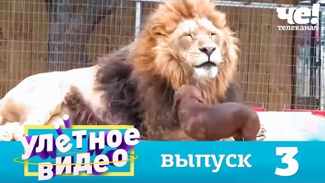 Улетное видео | Выпуск 3 Улетное видео | Выпуск 3