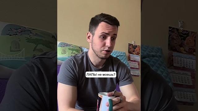 Угар Кошачий психолог. Говорящие коты, прикол до слёз. Озвучка #говорящийкот #озвучка #отношения Угар Кошачий психолог. Говорящие коты, прикол до слёз. Озвучка #говорящийкот #озвучка #отношения