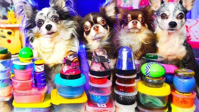 1000 ANTI STRESS SLIMES VS PETS | SLIME CHALLENGE 1000 ANTI STRESS SLIMES VS PETS | SLIME CHALLENGE
