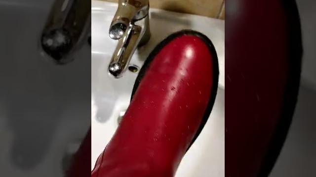 Как с гуся вода Как с гуся вода
