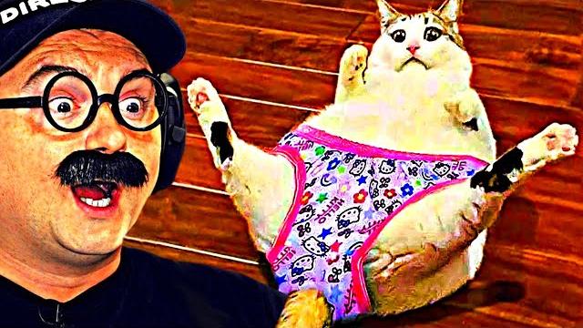ВЕСЕЛЫЕ ВИДОСИКИ которые ПОДНИМАЮТ НАСТРОЕНИЕ! ВЕСЕЛЫЕ ВИДОСИКИ которые ПОДНИМАЮТ НАСТРОЕНИЕ!