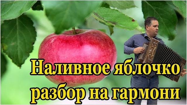 Наливное яблочко. Разбор на гармони по цифрам Наливное яблочко. Разбор на гармони по цифрам