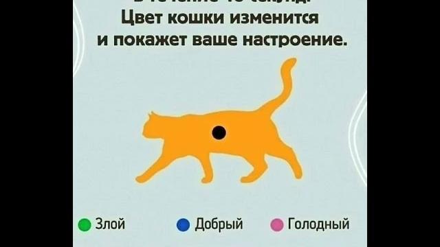 10 декабря 2024 г. 10 декабря 2024 г.