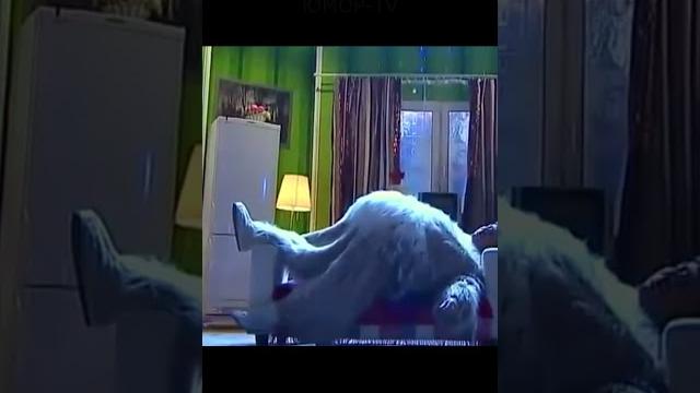 МИНИАТЮРНАЯ СОБАКА I Все звёзды юмора и шоу бизнеса на ЮМОР TV #юмор #приколы #шутки #вайны #смех МИНИАТЮРНАЯ СОБАКА I Все звёзды юмора и шоу бизнеса на ЮМОР TV #юмор #приколы #шутки #вайны #смех