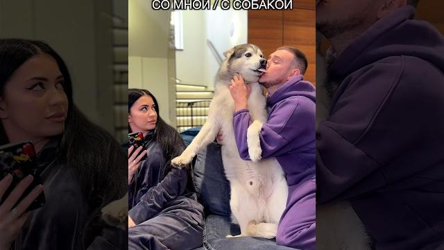 Вечный Батл: Собака против Жены Вечный Батл: Собака против Жены
