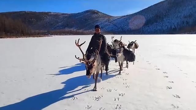 Surviving -45°C, the extreme life of the Tsataan nomads Surviving -45°C, the extreme life of the Tsataan nomads