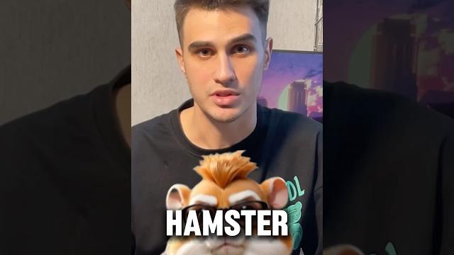 Сколько денег раздаст Хамстер Комбат? Цены монеты Hamster Kombat #hamsterkombat #хамстеркомбат Сколько денег раздаст Хамстер Комбат? Цены монеты Hamster Kombat #hamsterkombat #хамстеркомбат