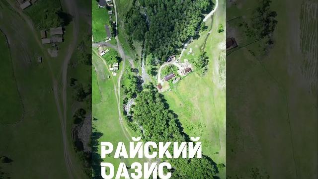 Райский оазис среди гор на Алтае! Постоянно что-то улучшаем #жизньвдеревне #стройка #алтай Райский оазис среди гор на Алтае! Постоянно что-то улучшаем #жизньвдеревне #стройка #алтай
