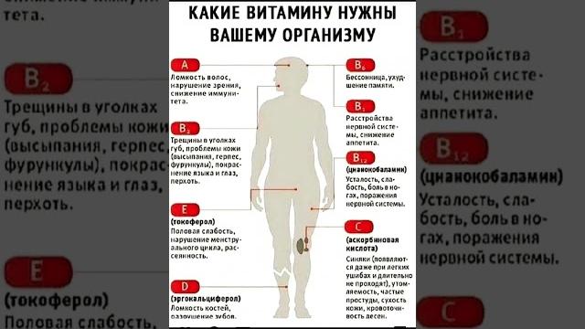 КАКИЕ ВИТАМИНЫ НУЖНЫ ВАШЕМУ ОРГАНИЗМУ ? #витамины #здоровье #правильноепитание #витамин #зож #пп КАКИЕ ВИТАМИНЫ НУЖНЫ ВАШЕМУ ОРГАНИЗМУ ? #витамины #здоровье #правильноепитание #витамин #зож #пп