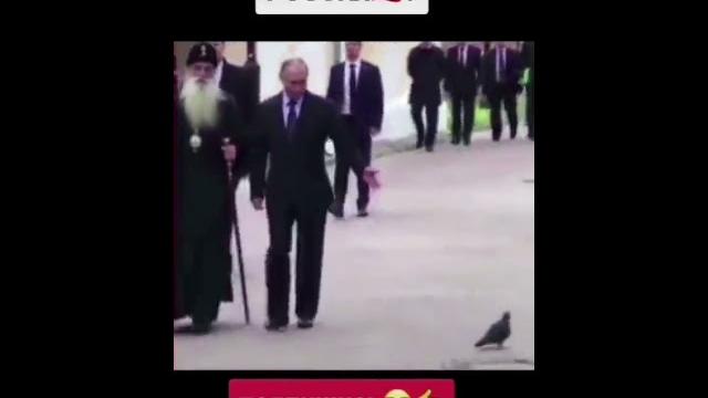 РОССИЯ ПРОТИВ АМЕРИКА ПРИКОЛ | ЖИВОТНЫЕ РОССИЯ ПРОТИВ АМЕРИКА ПРИКОЛ | ЖИВОТНЫЕ