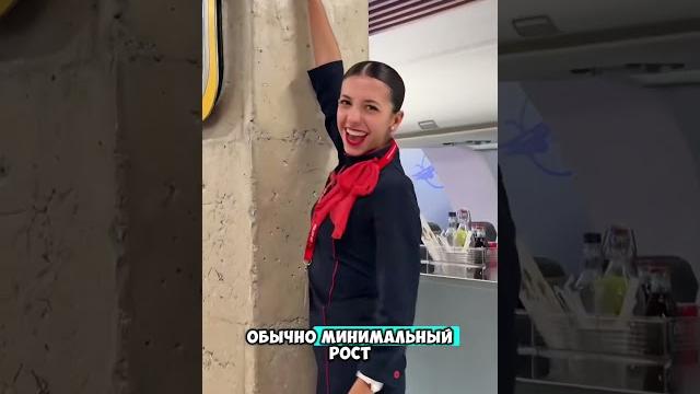 Зачем они достают Зачем они достают