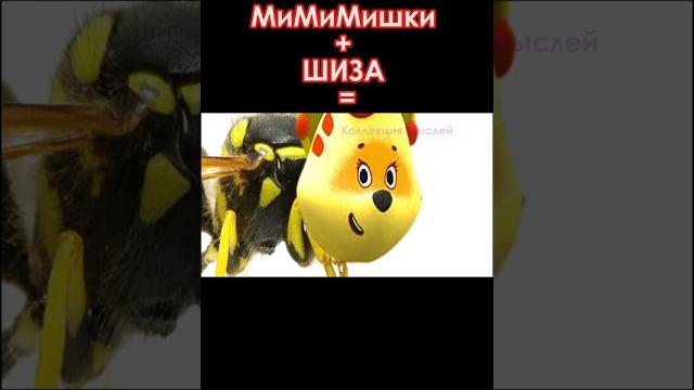 #shorts МиМиМишки + ШИЗА = #shorts МиМиМишки + ШИЗА =