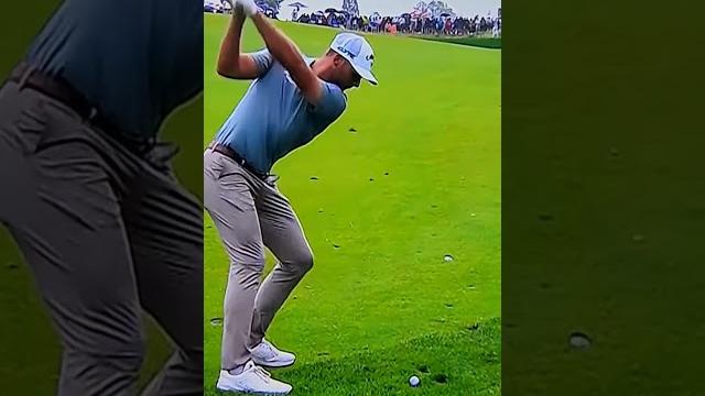 Golf Fan makes a funny on live TV Golf Fan makes a funny on live TV