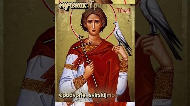 Святой Мученик Трифон ️ Святой Мученик Трифон ️