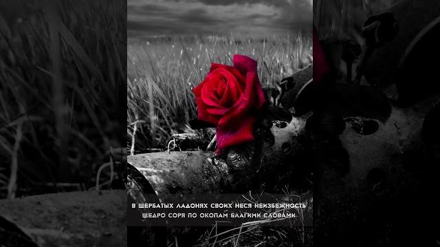 Иван Карпов - Дембельский поезд #ИванКарпов #Дембельская Слушать альбом: https://band.link/VremyaV Иван Карпов - Дембельский поезд #ИванКарпов #Дембельская Слушать альбом: https://band.link/VremyaV