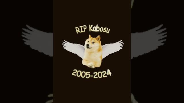 R. I. P Кабосу 2005-2024 R. I. P Кабосу 2005-2024