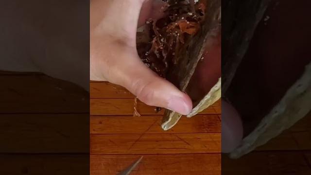 Иду на Море собирать .. Иду на Море собирать ..