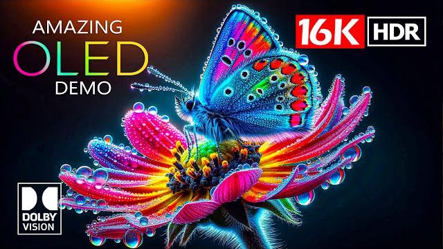 16K Video ULTRA HD - 16K HDR Dolby Vision (4K / 8K TV) 16K Video ULTRA HD - 16K HDR Dolby Vision (4K / 8K TV)