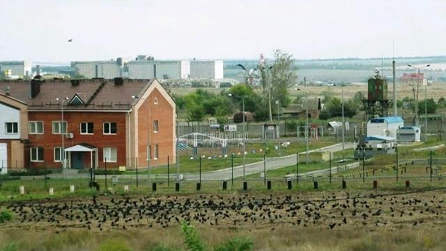 Город 1000 ворон Морозовск Город 1000 ворон Морозовск