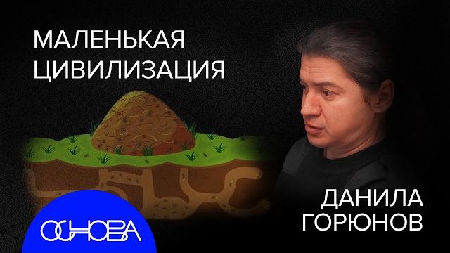 МУРАВЬИ vs ЛЮДИ: КОЛЛЕКТИВНЫЙ МОЗГ и ПОЧЕМУ ИХ ОБЩЕСТВО КРУЧЕ НАС? МУРАВЬИ vs ЛЮДИ: КОЛЛЕКТИВНЫЙ МОЗГ и ПОЧЕМУ ИХ ОБЩЕСТВО КРУЧЕ НАС?