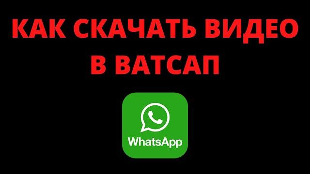 Как скачать видео с ватсапа Как скачать видео с ватсапа