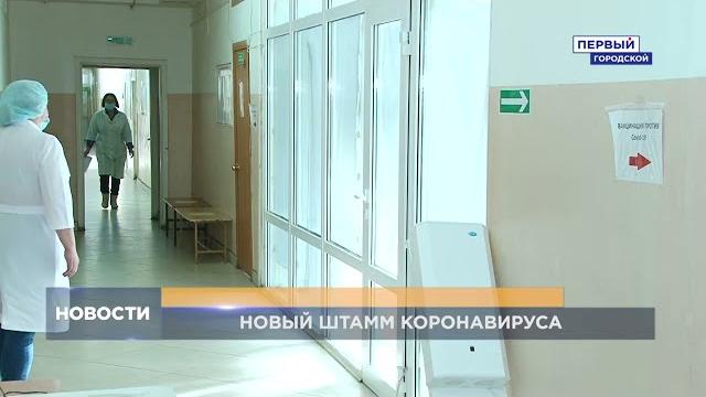 "КРАКЕН": НОВЫЙ ШТАММ КОРОНАВИРУСА "КРАКЕН": НОВЫЙ ШТАММ КОРОНАВИРУСА