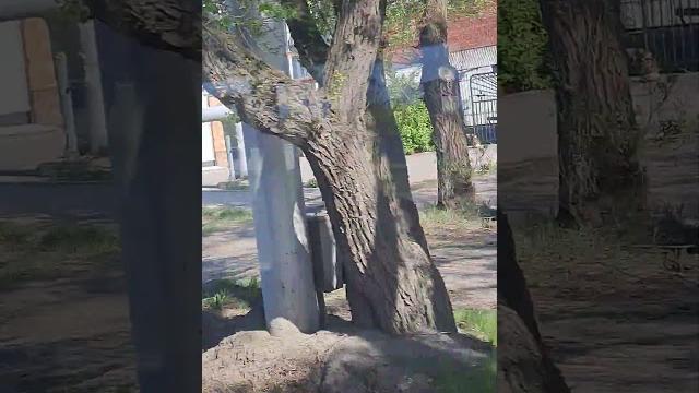 Кемерово Кемерово