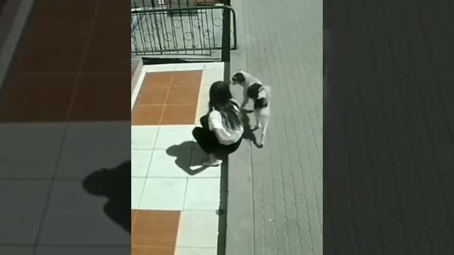 Шок! Не смотри это видео! Шок! Не смотри это видео!
