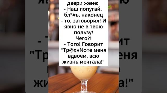 самый лучший попугай самый лучший попугай