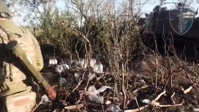 Україна. Морські котики з 73 центру ССО. Україна. Морські котики з 73 центру ССО.