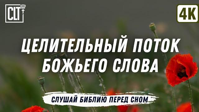 Молитва за исцеление и стихи из Библии, которые укрепляют веру в исцеление #Библия #исцеление Молитва за исцеление и стихи из Библии, которые укрепляют веру в исцеление #Библия #исцеление
