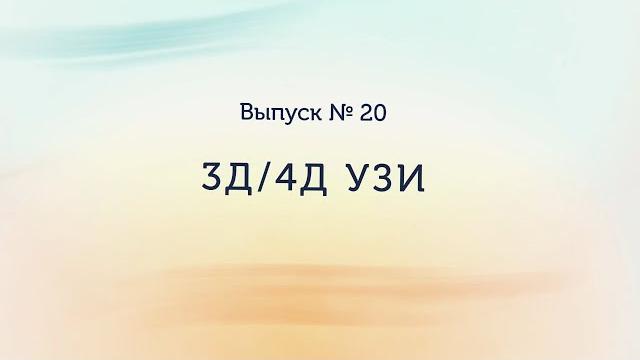 3Д/4Д УЗИ 3Д/4Д УЗИ