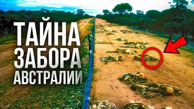 Что СКРЫВАЕТ ЗАБОР В АВСТРАЛИИ на самом деле? Вся правда про обратную сторону загадочной стены Что СКРЫВАЕТ ЗАБОР В АВСТРАЛИИ на самом деле? Вся правда про обратную сторону загадочной стены