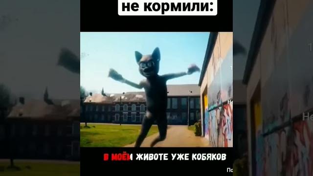 Когда кота долго не кормили #shorts #a4 #a4omg #kobakow Когда кота долго не кормили #shorts #a4 #a4omg #kobakow