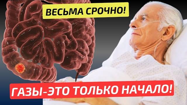 Замучали ГАЗЫ и ВЗДУТИЕ! Жаль не знал раньше об ЭТОМ! Метеоризм - причины, последствия и лечение. Замучали ГАЗЫ и ВЗДУТИЕ! Жаль не знал раньше об ЭТОМ! Метеоризм - причины, последствия и лечение.