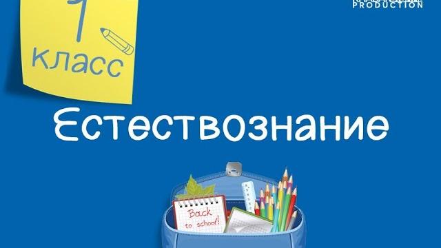 Естествознание. 1 класс. Животные - живые организмы. Какие бывают животные /16.10.2020/ Естествознание. 1 класс. Животные - живые организмы. Какие бывают животные /16.10.2020/