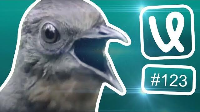 Лучшие ролики недели #123 Это моё! Всё моё! Лучшие ролики недели #123 Это моё! Всё моё!
