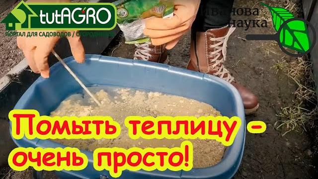 ТЕПЛИЦА ВЕСНОЙ: ЧЕМ и КАК ПОМЫТЬ ПОЛИКАРБОНАТНУЮ ТЕПЛИЦУ? Вот самый лучший способ подготовки теплицы ТЕПЛИЦА ВЕСНОЙ: ЧЕМ и КАК ПОМЫТЬ ПОЛИКАРБОНАТНУЮ ТЕПЛИЦУ? Вот самый лучший способ подготовки теплицы