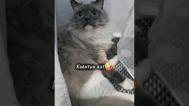 ни минуты покоя ни минуты покоя