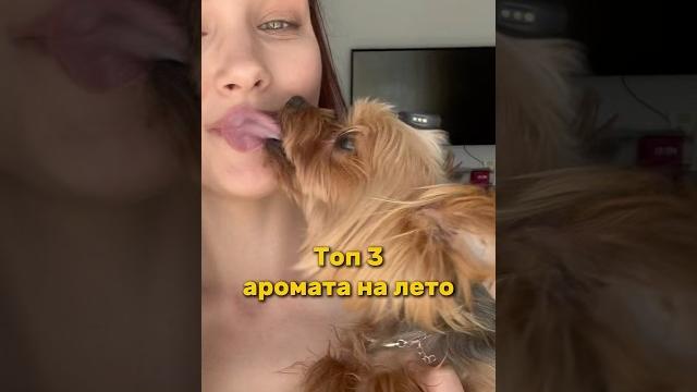 Духи для вашего питомца Малиновое джелато: 395942165 Шарлотка: 395942176 Мохито: 395942171 Духи для вашего питомца Малиновое джелато: 395942165 Шарлотка: 395942176 Мохито: 395942171