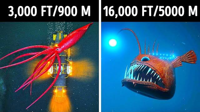 Fascinating 3D Journey to the Ocean Depths Fascinating 3D Journey to the Ocean Depths