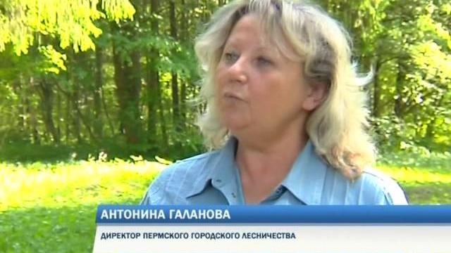 Сбербанк зеленый день Сбербанк зеленый день